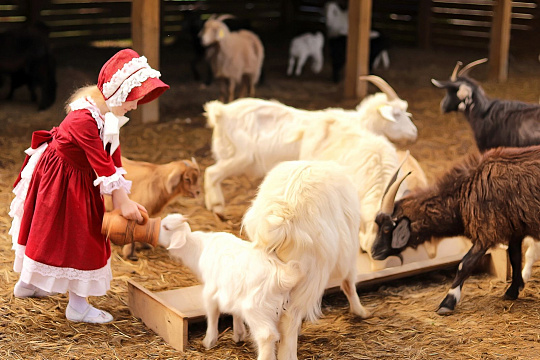 Porno fotosuratlardagi farqlarni toping